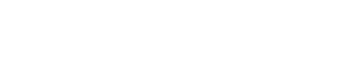 Nyame Addo Enterprise logo